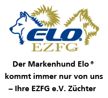 EZFG Logo